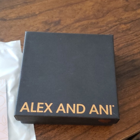 New in box Alexi & Ani chain earrings. - Picture 2 of 3
